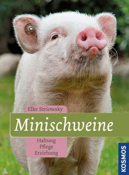 Minischweine: Haltung, Pflege, Erziehung