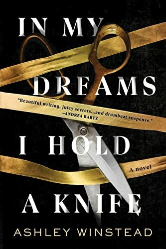 Sourcebooks Landmark In My Dreams I Hold A Knife, A Novel