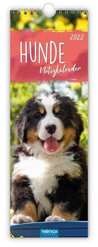 Hunde 2022 Streifenkalender