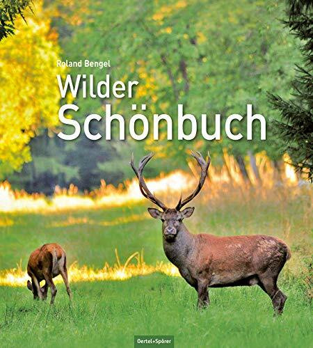 Wilder Schönbuch