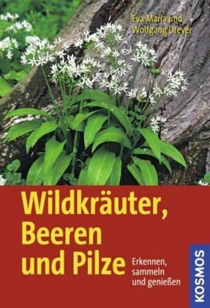 Wildkräuter, Beeren und Pilze: Erkennen, sammeln und genießen