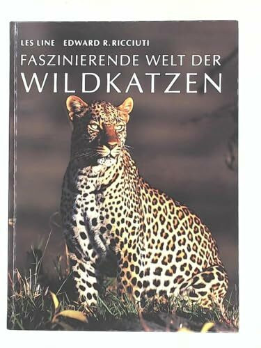 Faszinierende Welt der Wildkatzen