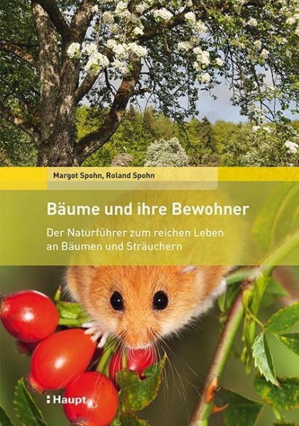 Bäume und ihre Bewohner