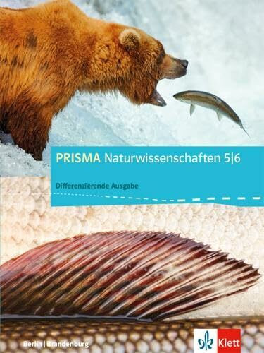 PRISMA Naturwissenschaften 5/6. Differenzierende Ausgabe Berlin, Brandenburg: Schulbuch Klasse 5/6 (PRISMA Naturwissenschaften. Differenzierende Ausgabe für Berlin und Brandenburg ab 2016)