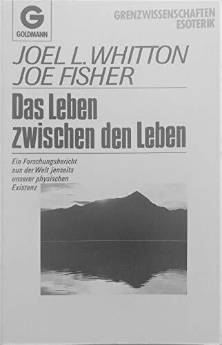 Das Leben zwischen den Leben. Ein Forschungsbericht aus der Welt jenseits unserer physischen Existenz