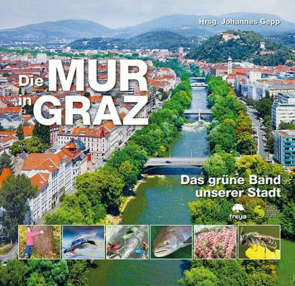 Die Mur in Graz: Das grüne Band unserer Stadt