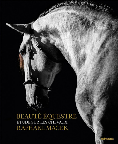 Equine Beauty: A study of Horses.. Deutsch/Spanisch/Englisch/Französisch/Portugiesisch (Photographer)