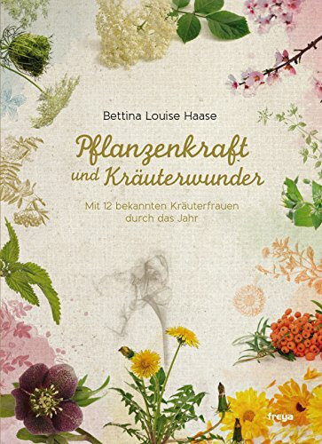 Pflanzenkraft und Kräuterwunder: Mit 12 bekannten Kräuterfrauen durch das Jahr
