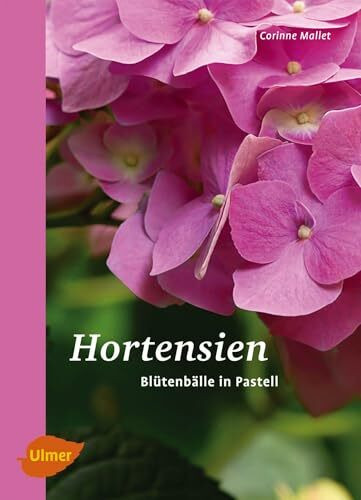 Hortensien: Blütenbälle in Pastell