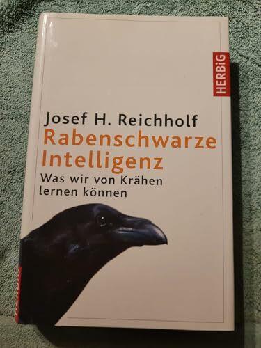 Rabenschwarze Intelligenz: Was wir von Krähen lernen können