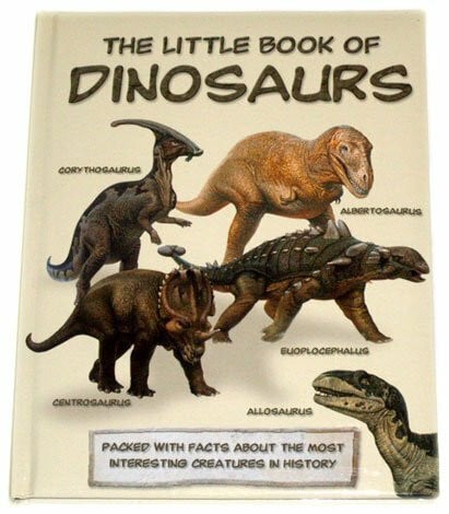 Dinosaurier Buch Englisch - The Little Book Of Dinosaurs