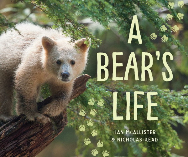 A Bear's Life (My Great Bear Rainforest)