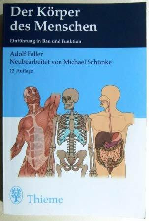Der Körper des Menschen