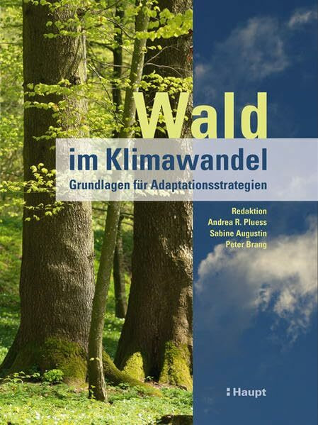 Wald im Klimawandel: Grundlagen für Adaptationsstrategien