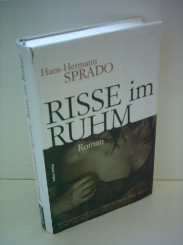 Risse im Ruhm: Roman (Subkutan)