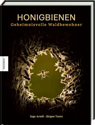 Honigbienen - Geheimnisvolle Waldbewohner: Bildband Naturfotograie
