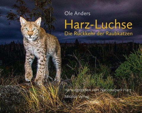 Harz-Luchse Die Rückkehr der Raubkatzen