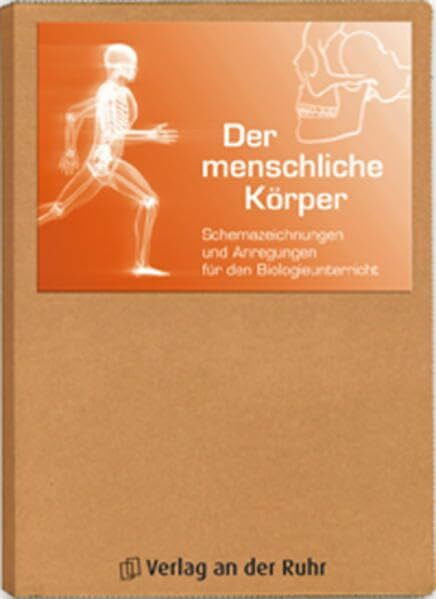 Der menschliche Körper: Schemazeichnungen und Anregungen für den Biologieunterricht