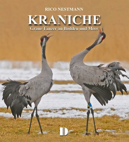 Bildband Kraniche: Graue Tänzer an Bodden und Meer