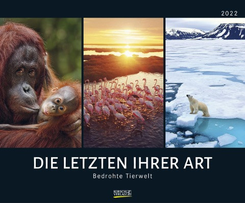 Bedrohte Tierwelt 2022