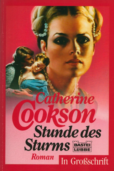 Stunde des Sturms: Grossschrift (Allgemeine Reihe. Bastei Lübbe Taschenbücher)