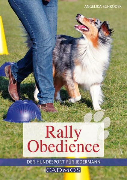 Rally Obedience: Der Hundesport für jedermann