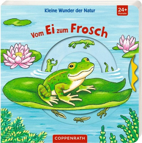 Kleine Wunder der Natur: Vom Ei zum Frosch