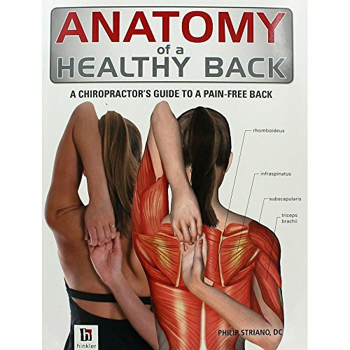 Anatomy of a Healthy Back (The Anatomy Series)