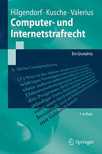 Computer- und Internetstrafrecht: Ein Grundriss (Springer-Lehrbuch)