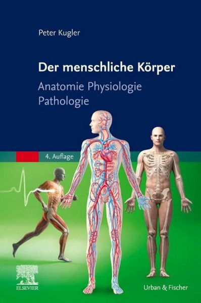 Der menschliche Körper: Anatomie Physiologie Pathologie