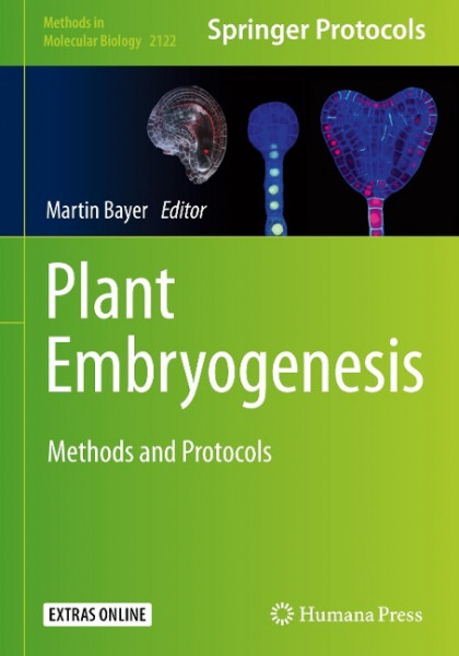 Plant Embryogenesis