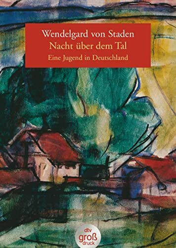 Nacht über dem Tal: Eine Jugend in Deutschland (dtv großdruck)