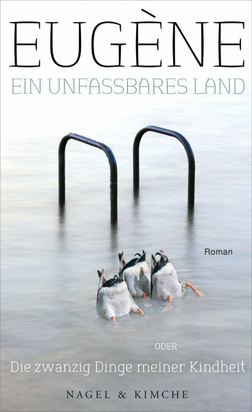 Ein unfassbares Land oder Die zwanzig Dinge meiner Kindheit: Roman