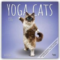 Yoga Cats - Joga-Katzen 2022 - 18-Monatskalender
