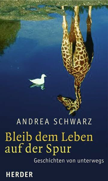 Bleib dem Leben auf der Spur: Geschichten von unterwegs