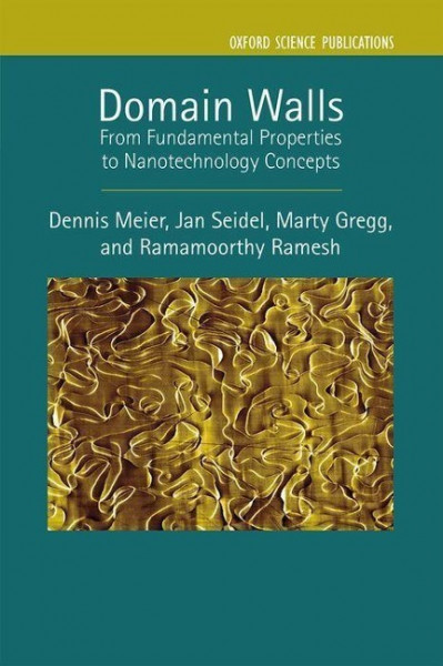 Domain Walls: From Fundamental Properties to Nanotechnology Concepts