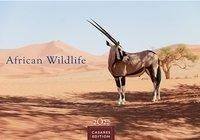 African Wildlife 2022 - Format L