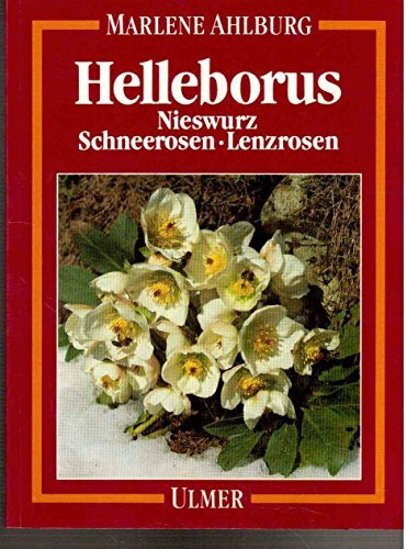 Helleborus: Nieswurz, Schneerosen, Lenzrosen