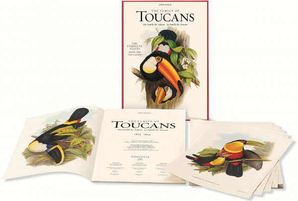 John Gould. The Family of Toucans: Die familie der Tukane - La Famille des Toucans, 1852 - 1854, The Complete Plates 53 (Extra large)