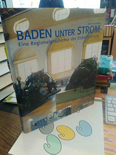 Baden unter Strom: Eine Regionalgeschichte der Elektrifizierung. Von der Wasserkraft ins Solarzeitalter