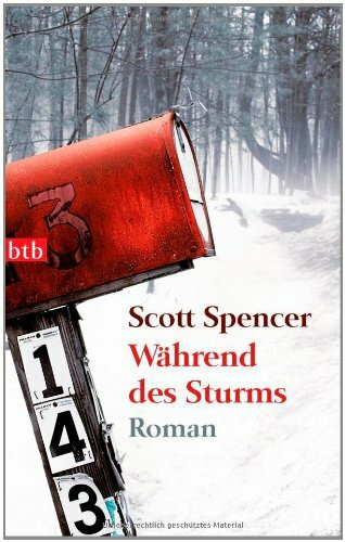 Während des Sturms: Roman