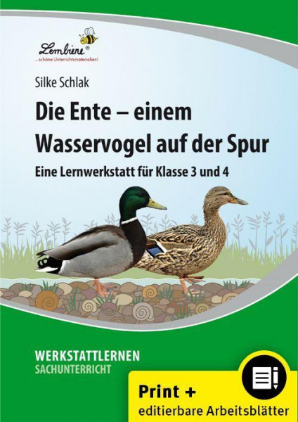 Die Ente - einem Wasservogel auf der Spur