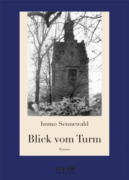 Blick vom Turm: Roman