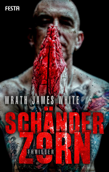 Schänderzorn: Thriller