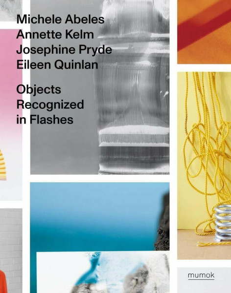 Objects Recognized in Flashes: Ausst. Kat. Museum moderner Kunst Stiftung Ludwig Wien, 2019/20