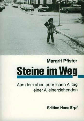 Steine im Weg: Aus dem abenteuerlichen Alltag einer Alleinerziehenden