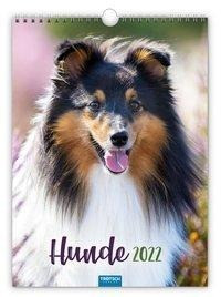 Classickalender "Hunde" 2022