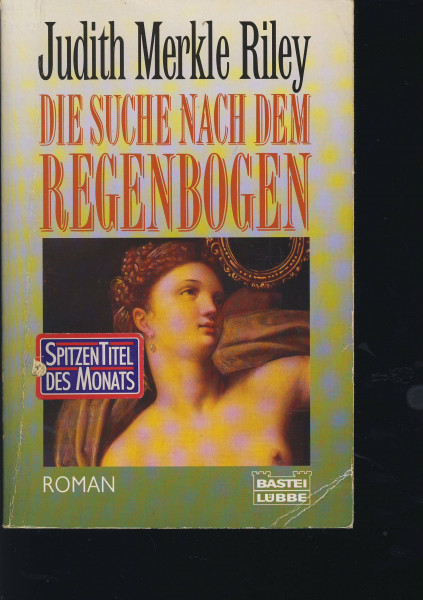 Die Suche nach dem Regenbogen (Allgemeine Reihe. Bastei Lübbe Taschenbücher)