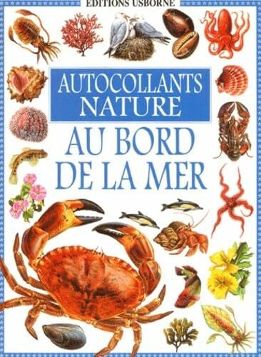 Au bord de la mer