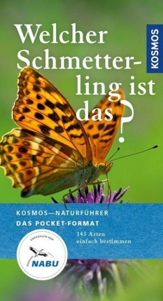 Welcher Schmetterling ist das?